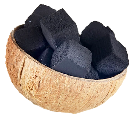 Black charcoal cubes placed inside a coconut shell, symbolizing 100% natural coconut shell charcoal for premium burning quality.